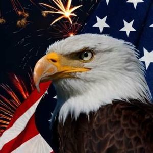 Meet your Posher, Gabriel